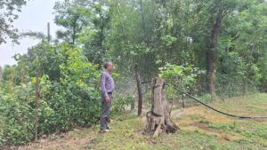 राप्तीसोनारी–१ मा समावेशी र उत्पादनमुखी पूर्वाधार विकास, ग्रामीण अनुहार परिवर्तनको बाटोमा